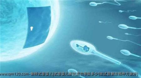 解释试管婴儿]试管婴儿解剖成功率是多少(做试管解冻哪种方案好)