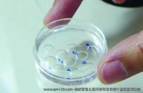 做试管婴儿在河南有没有哪个医院是可以的