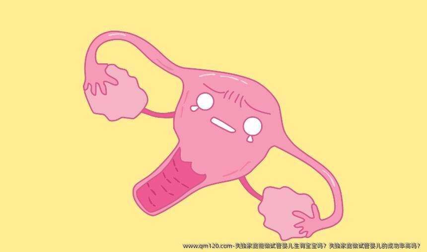 失**庭能做试管婴儿生育宝宝吗？失**庭做试管婴儿的成功率高吗？