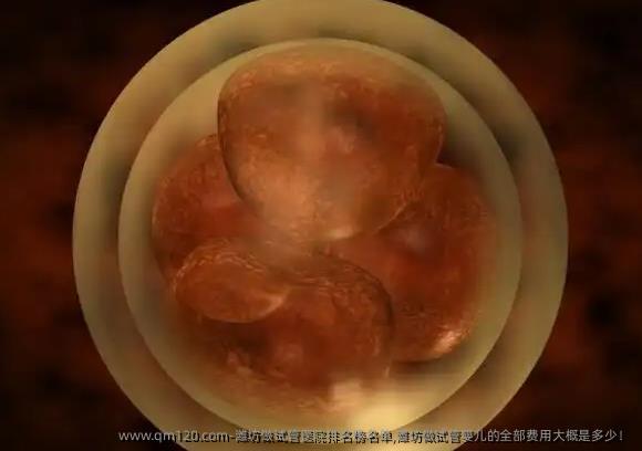 潍坊做试管医院排名榜名单,潍坊做试管婴儿的全部费用大概是多少！