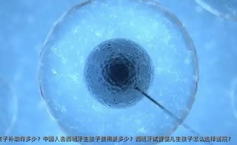 母亲是西班牙人生孩子 有多少？国内人去西班牙生孩子费用要多少？西班牙试管婴儿生孩子怎么选择医院？