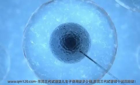 东莞三代试管婴儿生子费用要多少钱,东莞三代试管哪个医院能做！