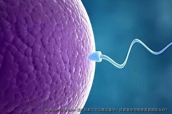 流产后多久可以再次备孕？试管备孕孕期感冒发烧怎么办？