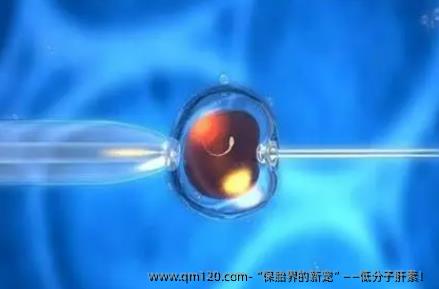 “保胎界的新宠”——低分子肝素！
