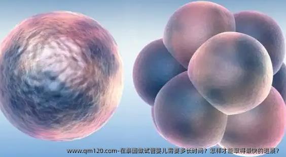 在泰国做试管婴儿需要多长时间？怎样才能取得最快的进展？