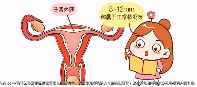 有什么办法来提高试管婴儿的成功率，试管婴儿移植放几个胚胎比较好？适合单胚胎移植及双胚移植的人群介绍