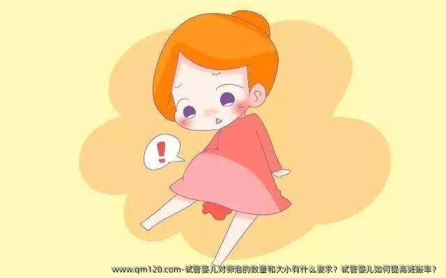 试管婴儿对卵泡的数量和大小有什么要求？试管婴儿如何提高妊娠率？