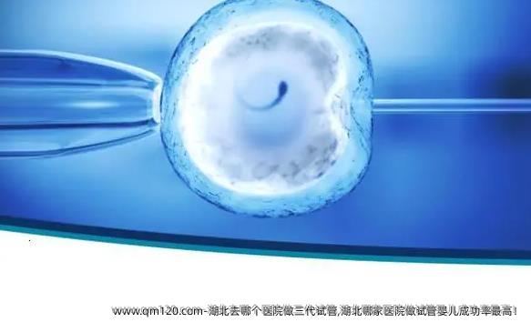湖北去哪个医院做三代试管,湖北哪家医院做试管婴儿**！