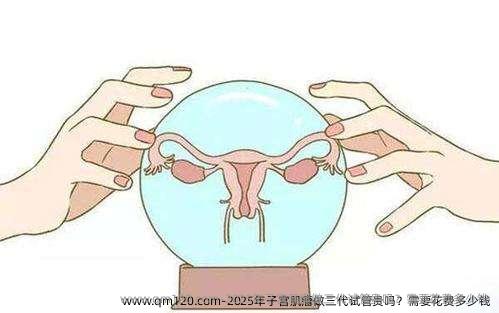 2025年子宫肌瘤做三代试管贵吗？需要花费多少钱