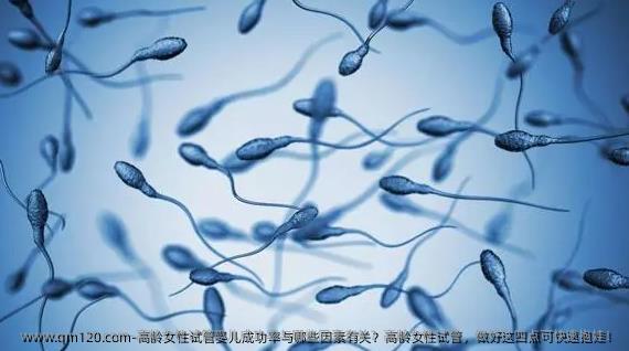 高龄女性试管婴儿成功率与哪些因素有关？高龄女性试管，做好这四点可快速抱娃！