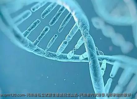河南省私立试管生殖医院怎么选-河南省内试管婴儿哪家做的较好！