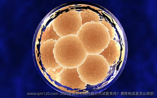 2025年高龄在国内做三代试管贵吗？费用构成是怎么样的