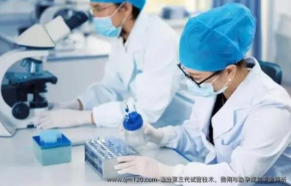 临汾第三代试管技术，费用与助孕成功率全解析