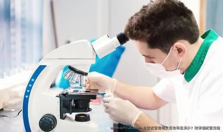 东营试管费用及成功率是多少？附详细试管流程