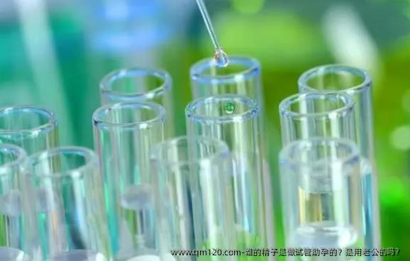 谁的精子是做试管助孕的？是用老公的吗？