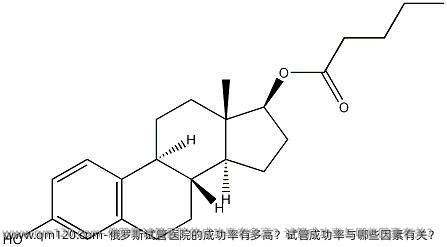 俄罗斯试管医院的成功率有多高？试管成功率与哪些因素有关？
