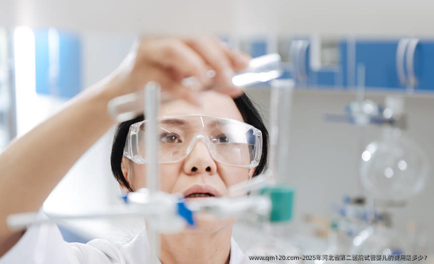2025年河北省第二医院试管婴儿的费用是多少？