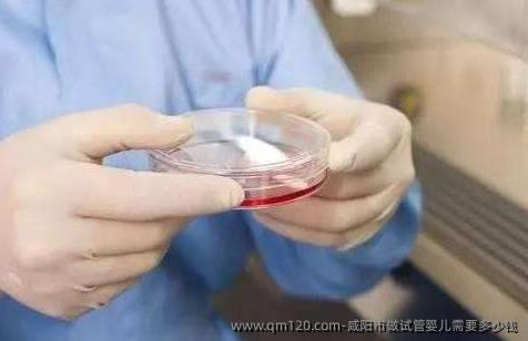 咸阳市做试管婴儿需要多少钱