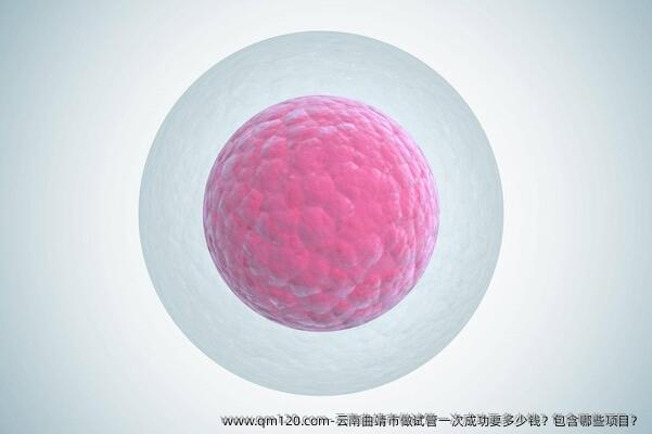 云南曲靖市做试管初次成功要多少钱？包含哪些项目？