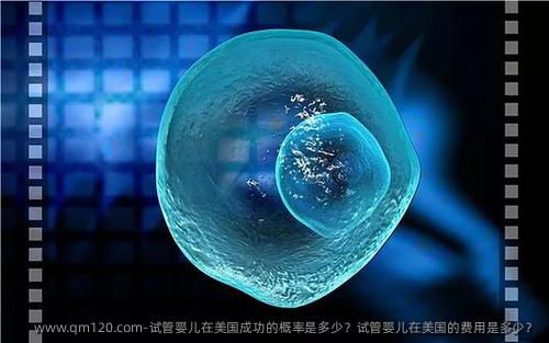 试管婴儿在美国成功的概率是多少？试管婴儿在美国的费用是多少？