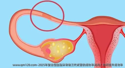 2025年复合型血脂异常做三代试管的成功率高吗？如何提升成功率