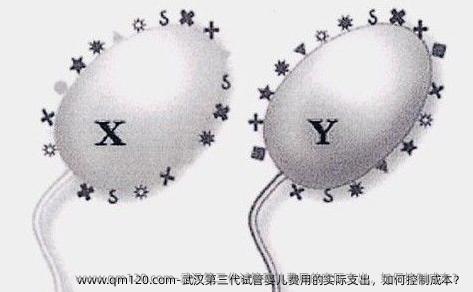 武汉第三代试管婴儿费用的实际支出，如何控制成本？