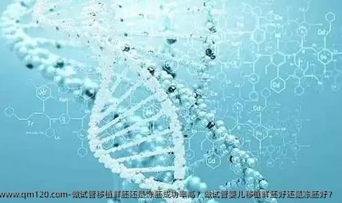 做试管移植鲜胚还是冻胚成功率高？做试管婴儿移植鲜胚好还是冻胚好？