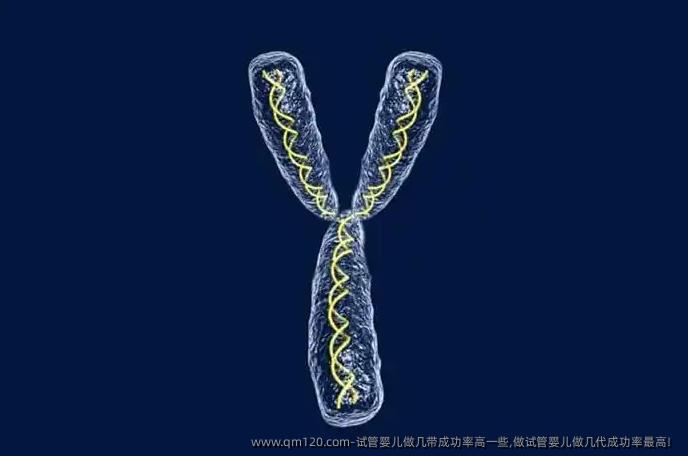 试管婴儿做几带成功率高一些,做试管婴儿做几代**！