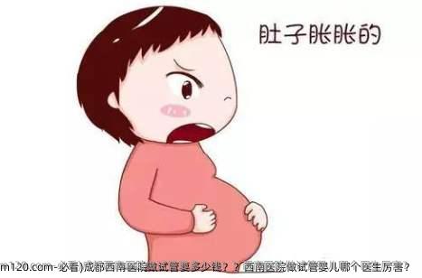 必看)成都西南医院做试管要多少钱？？西南医院做试管婴儿哪个医生厉害？