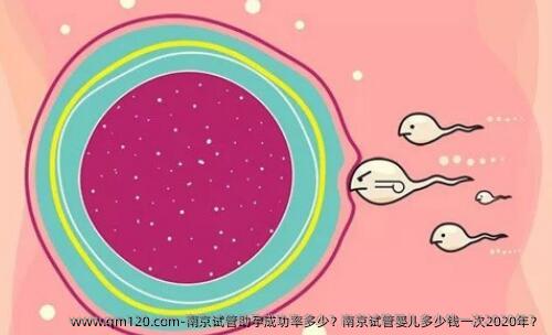 南京试管助孕成功率多少？南京试管婴儿多少钱一次2020年？