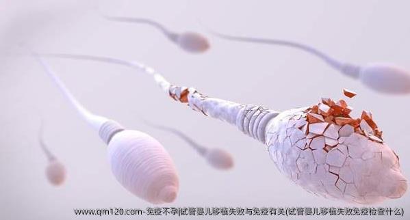 免疫不孕|试管婴儿移植失败与免疫有关(试管婴儿移植失败免疫检查什么)