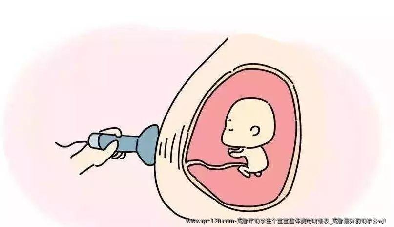 成都市助孕生个宝宝整体费用明细表_成都较好的助孕公司！