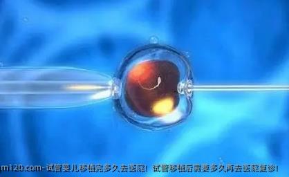 试管婴儿移植完多久去医院！试管移植后需要多久再去医院复诊！
