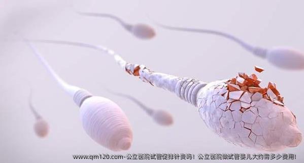 公立医院试管促排针贵吗！公立医院做试管婴儿大约需多少费用！
