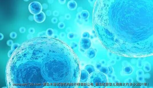 青岛未婚试管机构排行榜最新公布?青岛试管婴儿费用大约多少2025年！