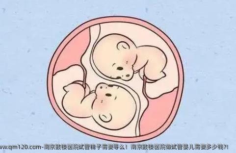 南京鼓楼医院试管精子需要等么！南京鼓楼医院做试管婴儿需要多少钱?！