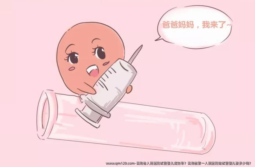 云南省人民医院试管婴儿成功率？云南省第一人民医院做试管婴儿要多少钱？