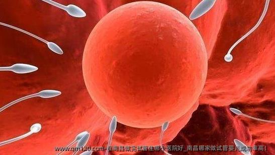 在南昌做完试管住哪个医院好_南昌哪家做试管婴儿成功率高！