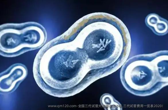 国内三代试管大概要花多少钱,三代试管费用一览表2020！