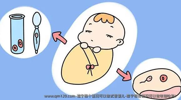 睢宁哪个医院可以做试管婴儿-睢宁哪些医院可以做核酸检测！