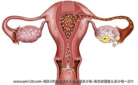 南京3代试管婴儿大概要花多少钱-南京试管婴儿多少钱一次?！
