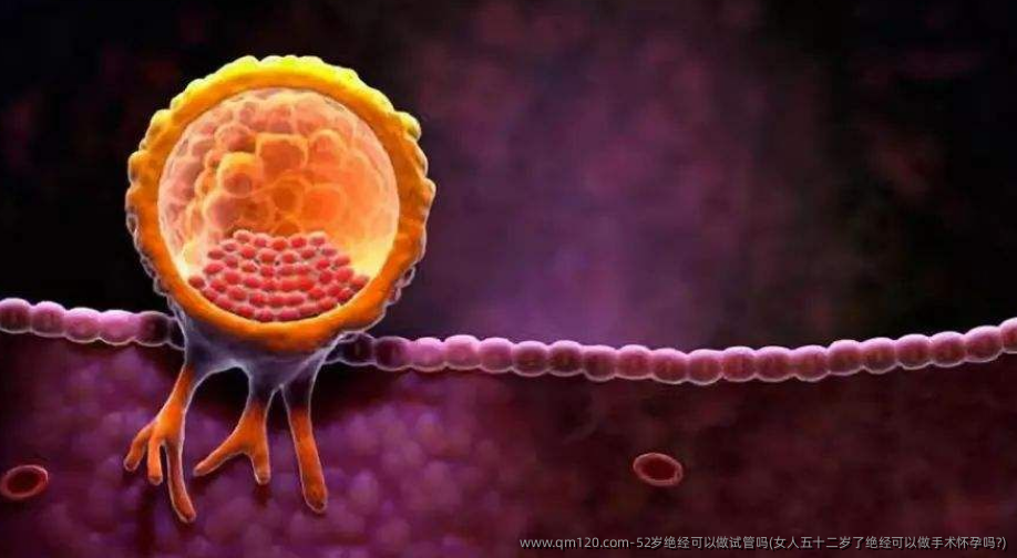 52岁绝经可以做试管吗(女人五十二岁了绝经可以做手术怀孕吗?)
