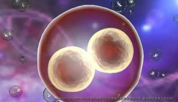 2025年嘉兴做第三代试管婴儿助孕花费高不高_嘉兴做试管婴儿怎么样！