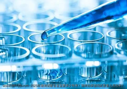 2025年湖州试管生宝宝要多少钱呀？湖州妇保医院试管婴儿成功率？