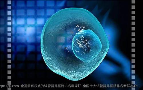 国内最有高水准的试管婴儿医院排名哪家好-国内十大试管婴儿医院排名新鲜出炉！