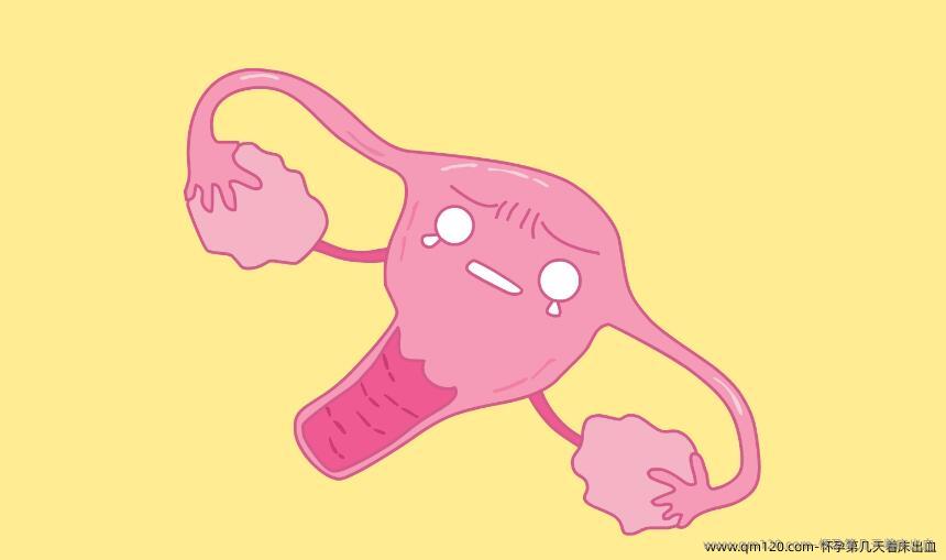 怀孕第几天着床出血
