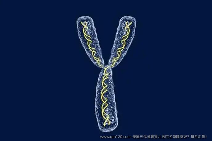 美国三代试管婴儿医院名单哪家好？排名汇总！