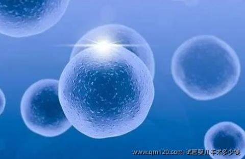 试管婴儿手术多少钱