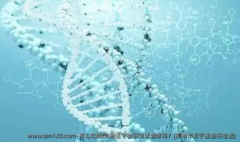 育儿攻略)庆阳正宁医院做试管好吗？