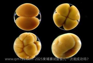 2025柬埔寨试管婴儿一次能成功吗？